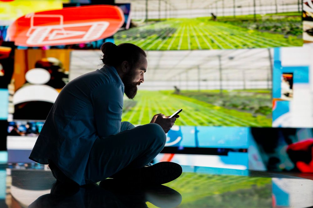 Por que gostamos tanto de apostas